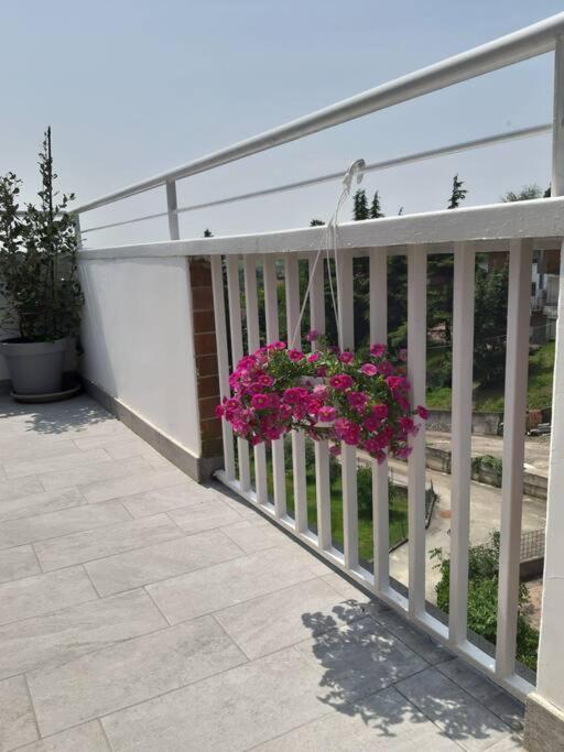 Casa Tra I Castelli Apartman San Martino Alfieri Kültér fotó
